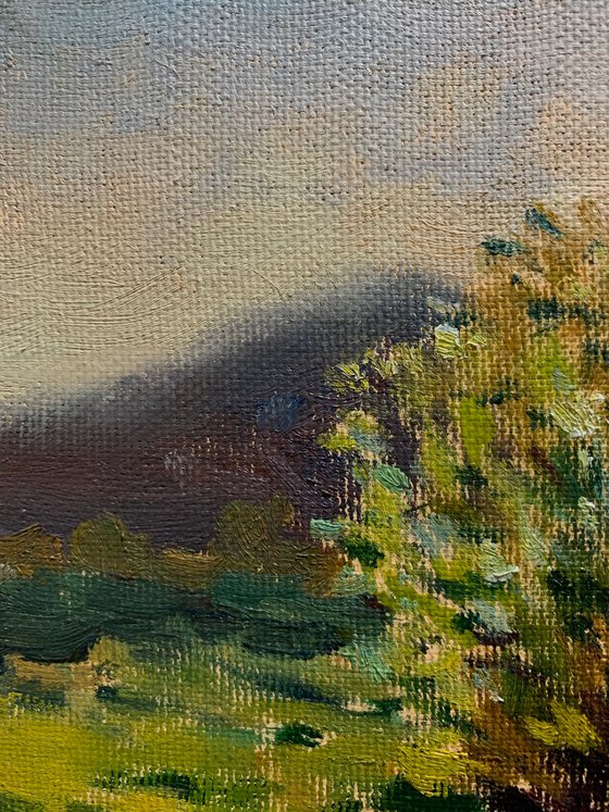 Sunlit Bush by the Pond