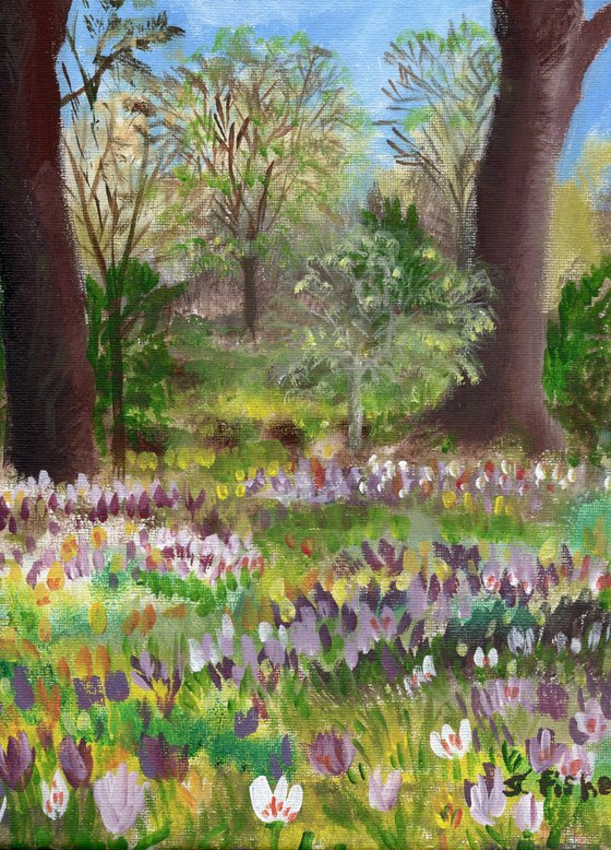 crocuses under tree canopies