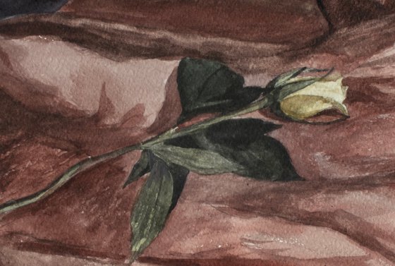 Sleeping Rose