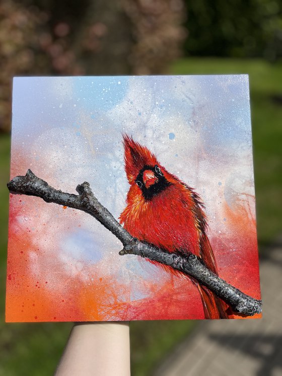 Bird #22 (northern cardinal)