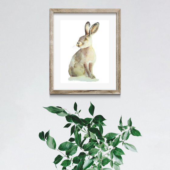 Hare woodland animal, Rabbit, watercolor illustration