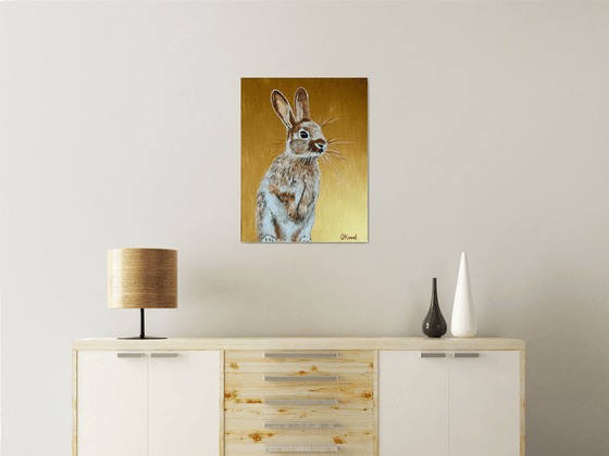 Honey bunny 5