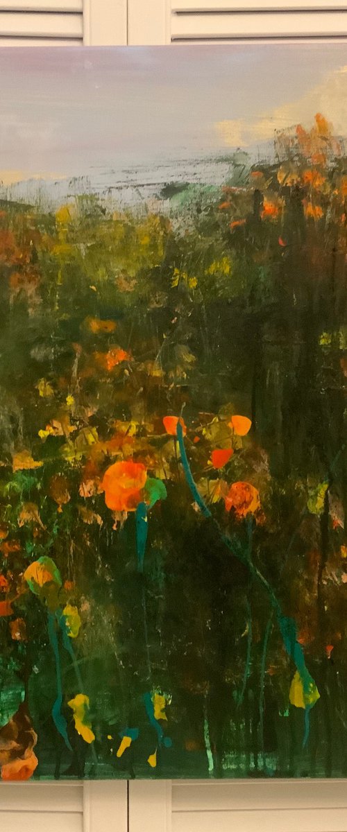 Wild poppies by Hennie Van de Lande