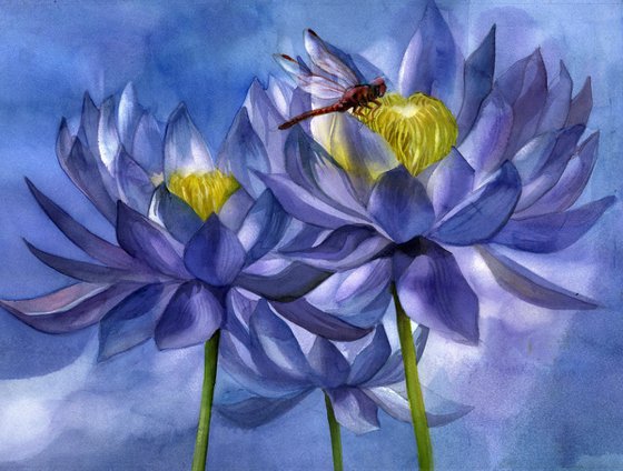 red dragonfly with blue waterlilies