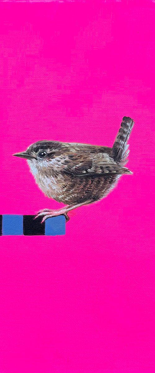 Carolina Wren by Nataly Derevyanko