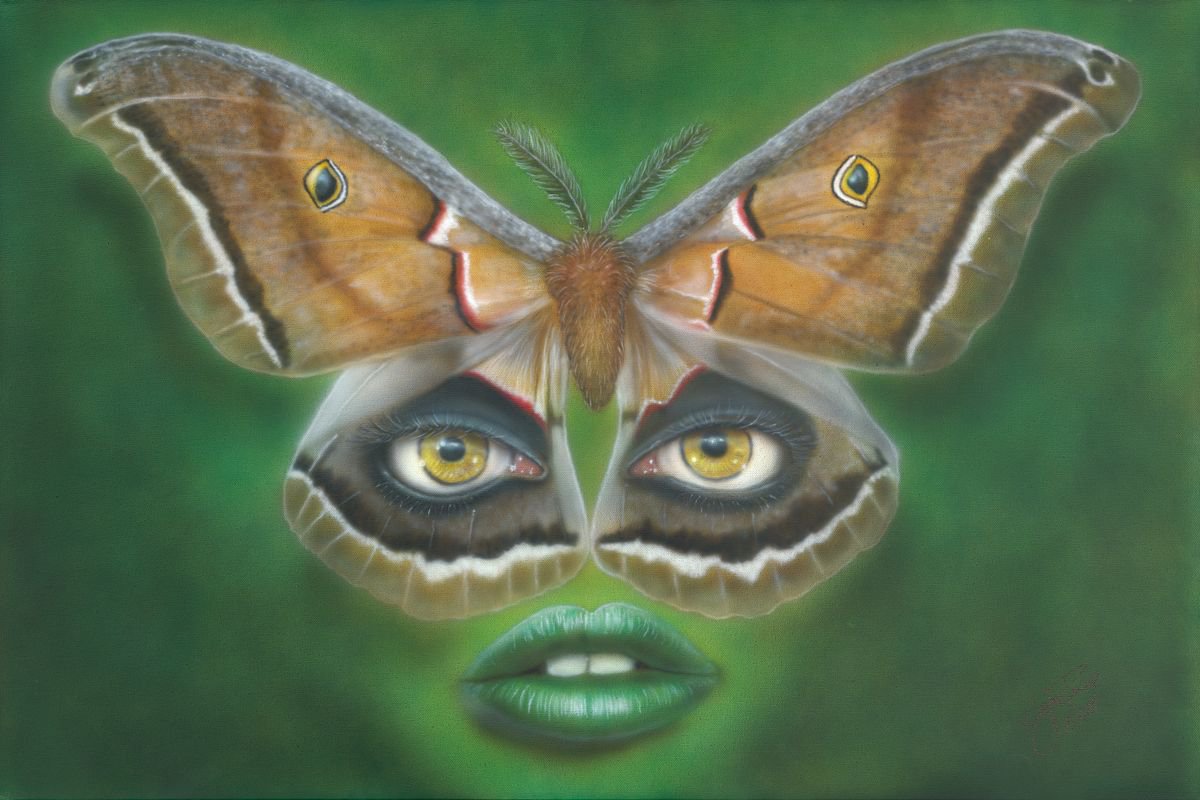 Luna Moth by Wayne Pruse