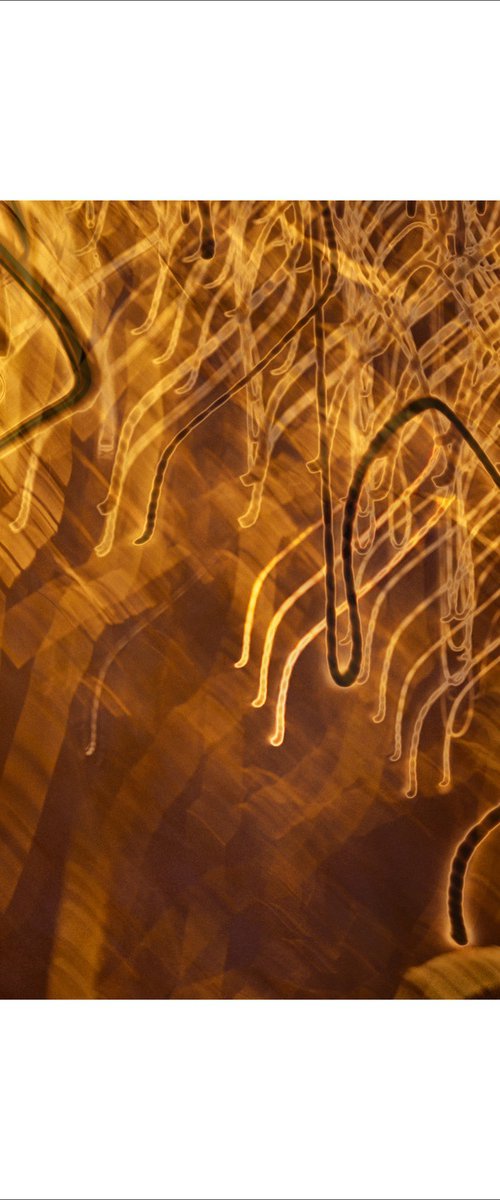 Street Light Trees (Yellow) Nottingham by Paul Harrison
