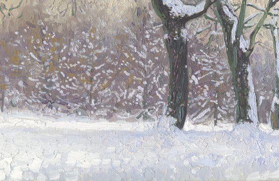 Maple Alley in January