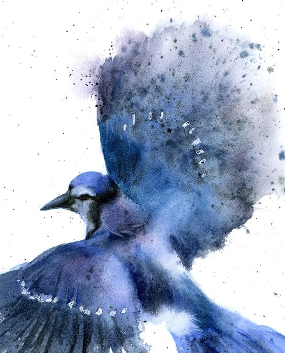 Blue Jay in Flight - Diptych