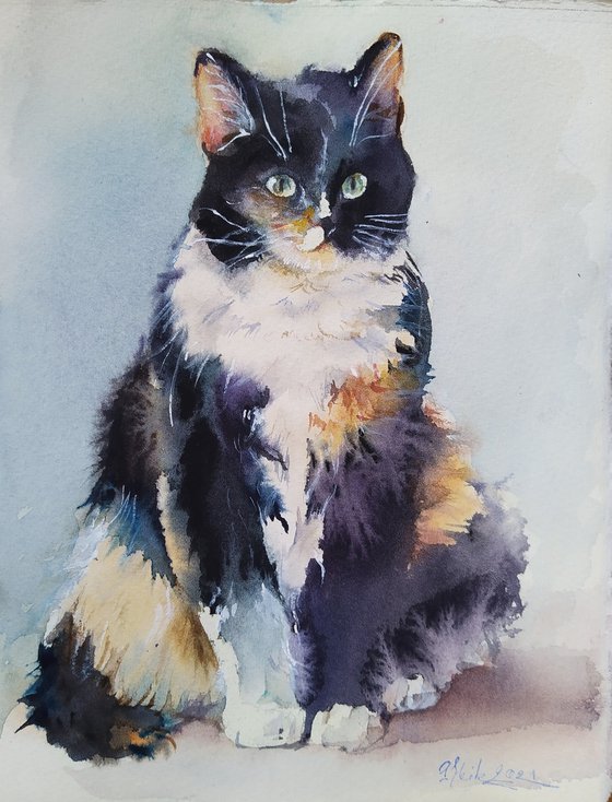 Motley cat. Sofy 20210510