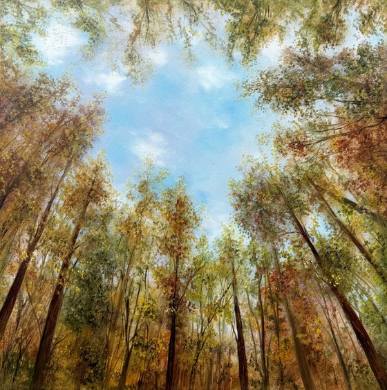 Where the Sky Begins