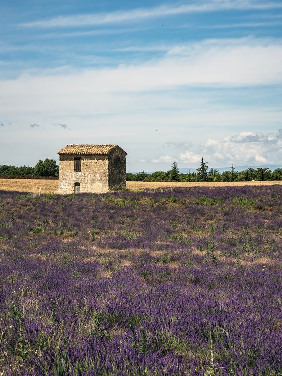 LIGHT SUNSET IN PROVENCE