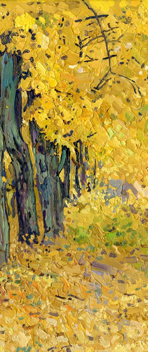 Golden maples in the park by Simon Kozhin