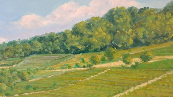 Langhe landscape