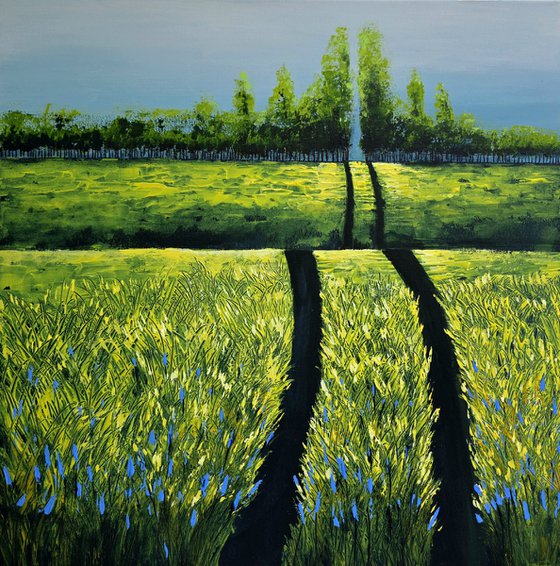 Canola Fields