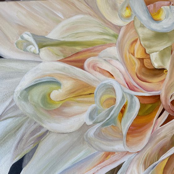 Magic Dahlia Petals
