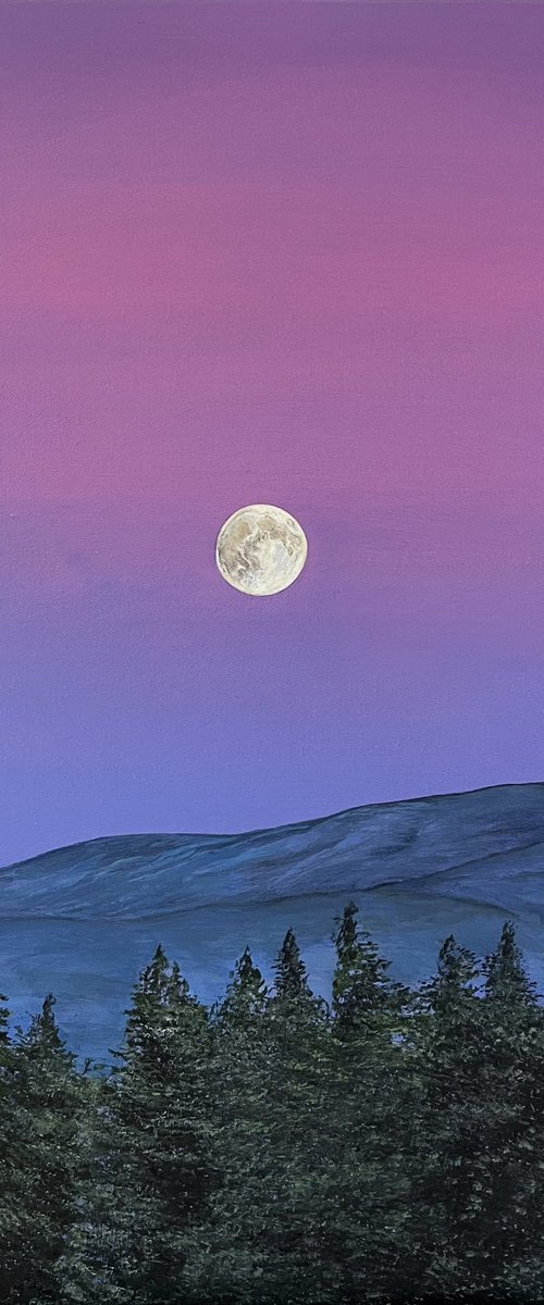 Dream Chaser by Victoria Obolensky