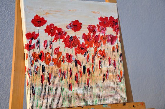 Wild Poppies 8