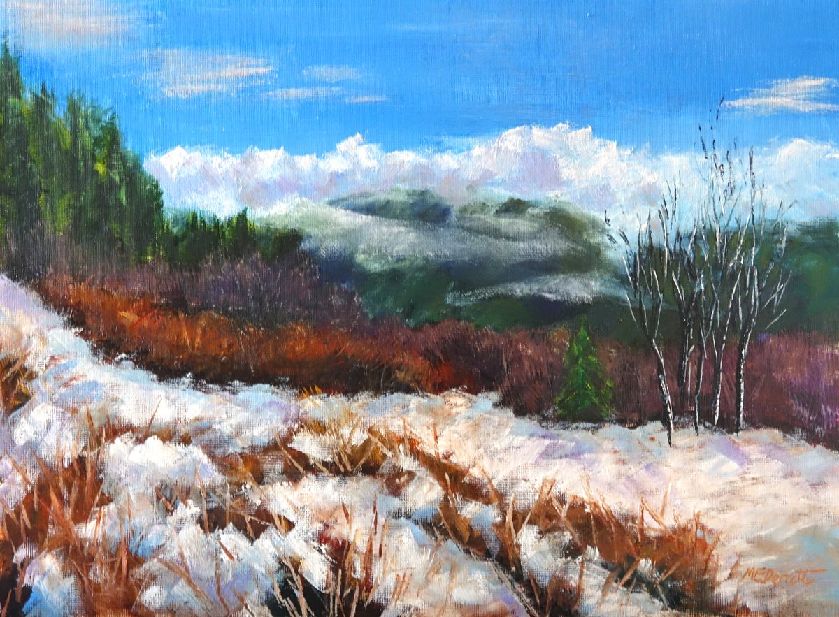 Wye Valley Winter View by Marion Derrett