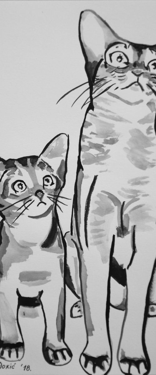 Two cats / 29.7 x 21 cm by Alexandra Djokic