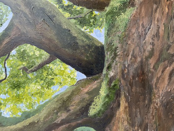 Dance of the Mighty Oak