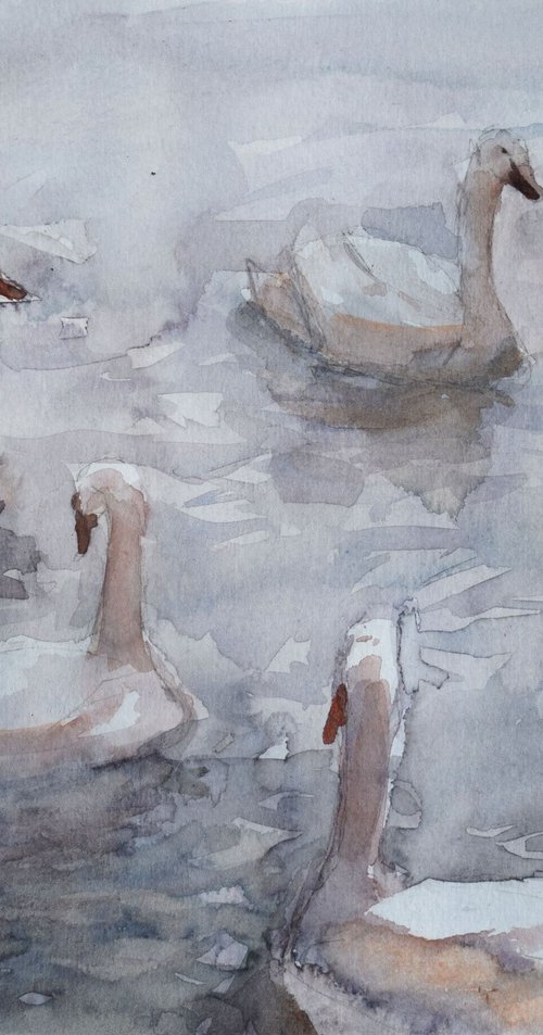 Swan lake by Goran Žigolić Watercolors