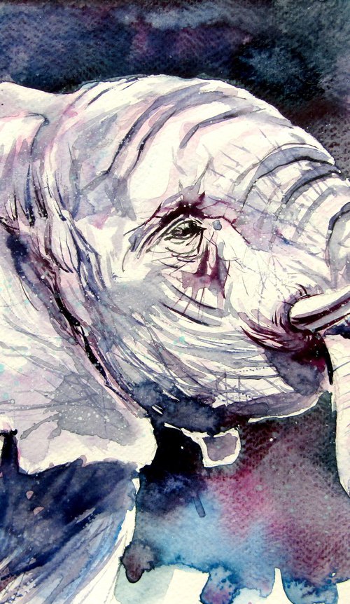 Eating elephant by Kovács Anna Brigitta