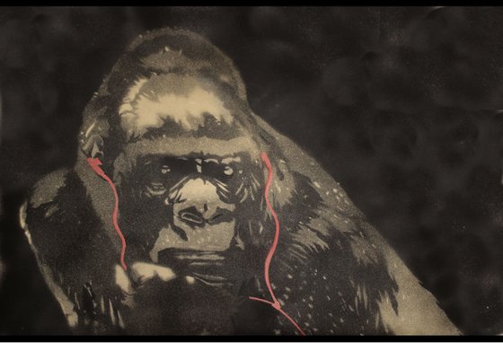 Gorilla in the groove (p).