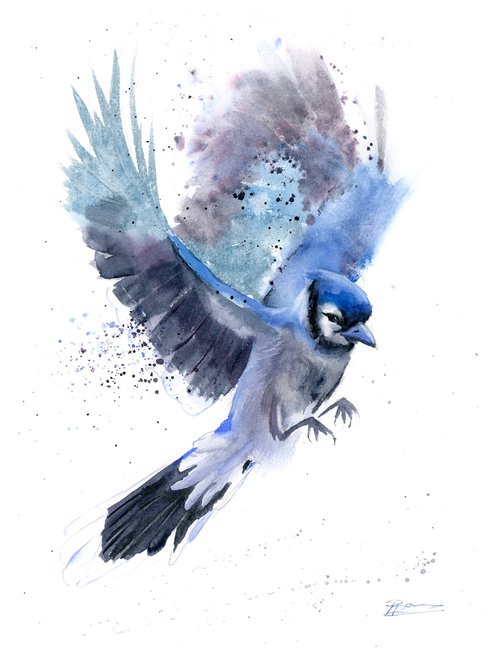 Flying Blue Jay by Olga Shefranov (Tchefranov)
