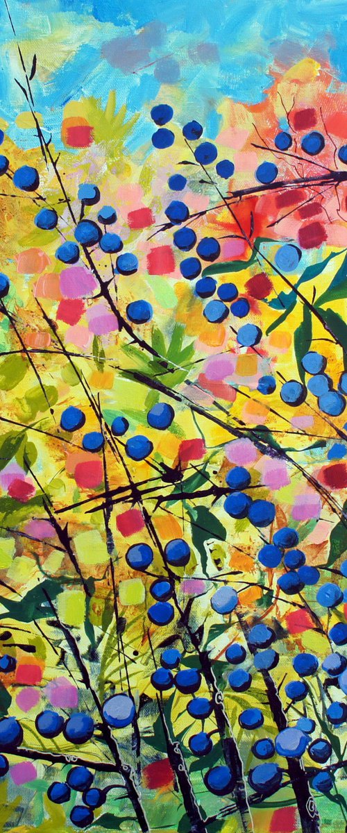 Sloe Berries by Julia  Rigby