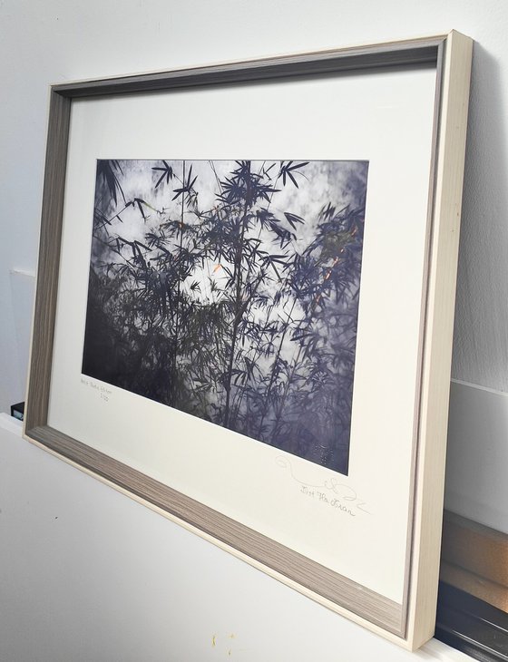 (FRAMED) The power of simplicity II