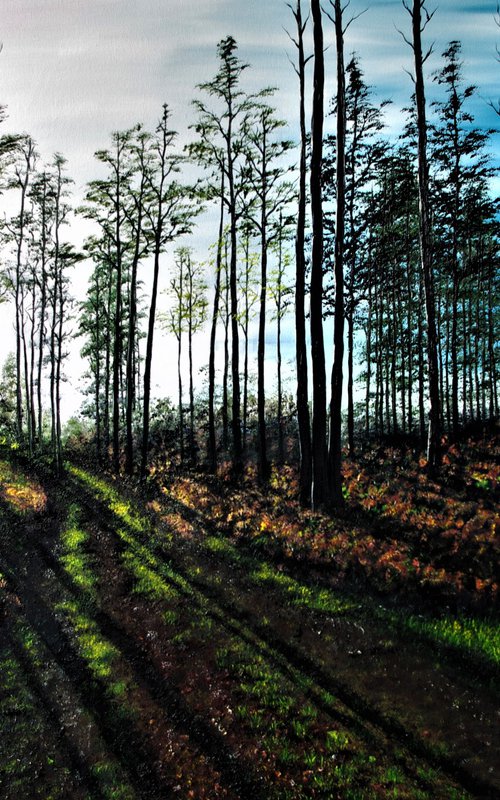 Late Afternoon shadows. 100cm X 150cm by Hazel Thomson