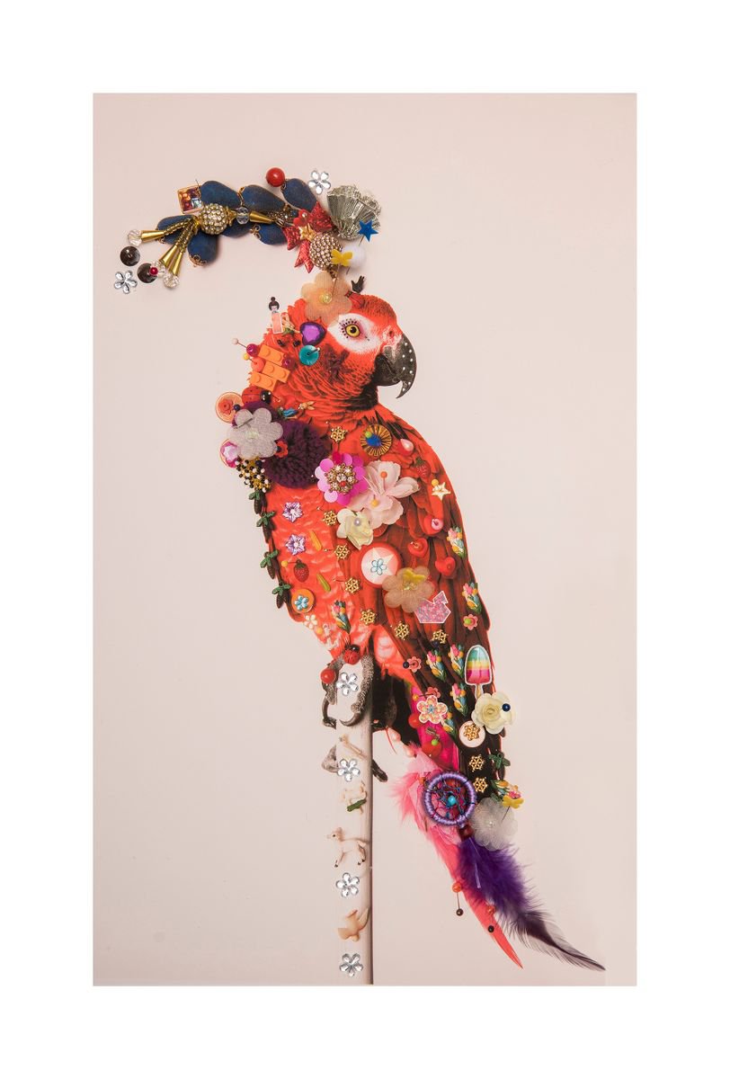 Urban And Pop Animal Photograph By B-Brown & Scheinmann, 22 X 32, P1, Original Artwork