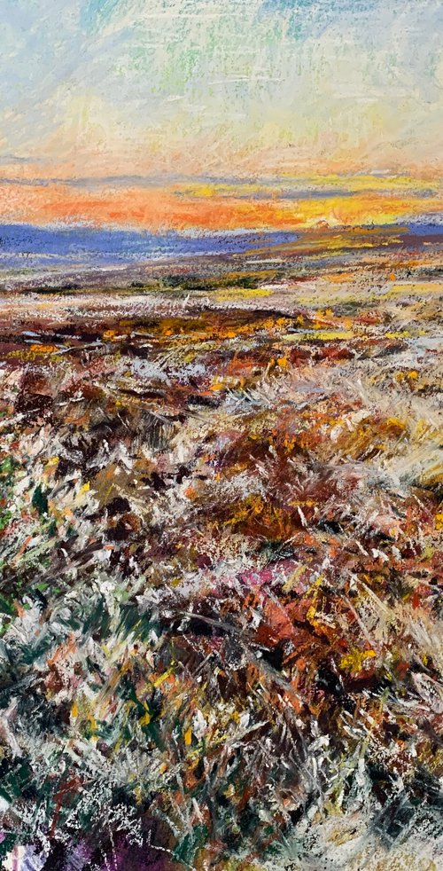 Winter Sun Over The Moor by Andrew Moodie