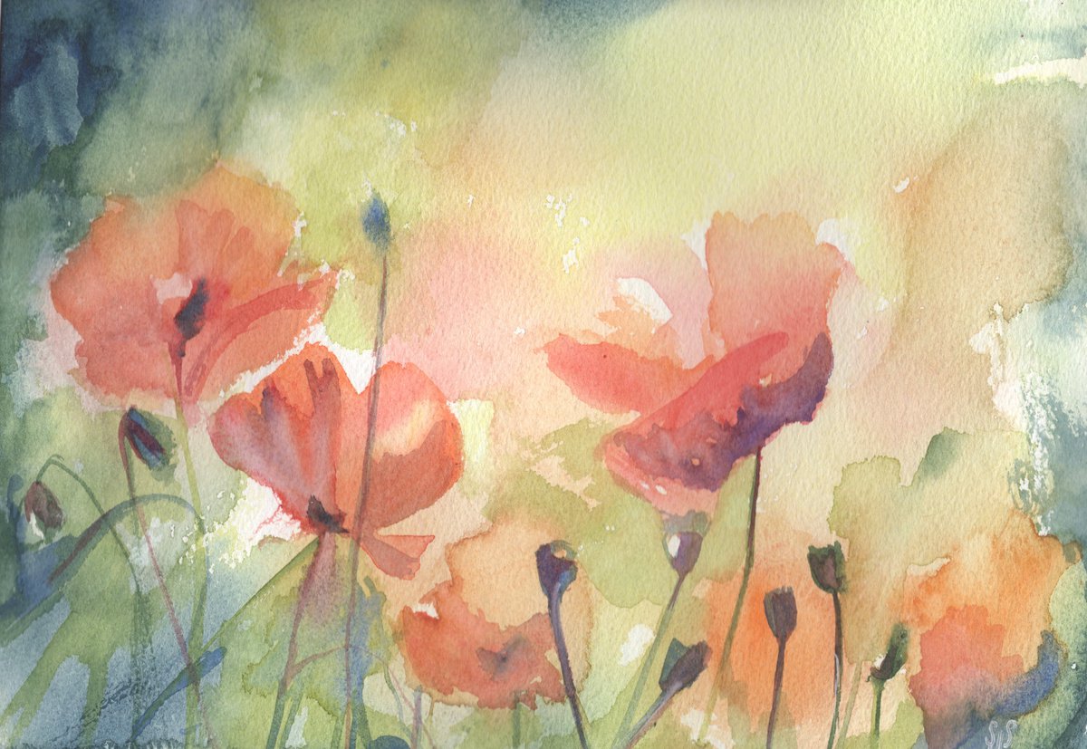 Poppy Parade by Sarah Stowe