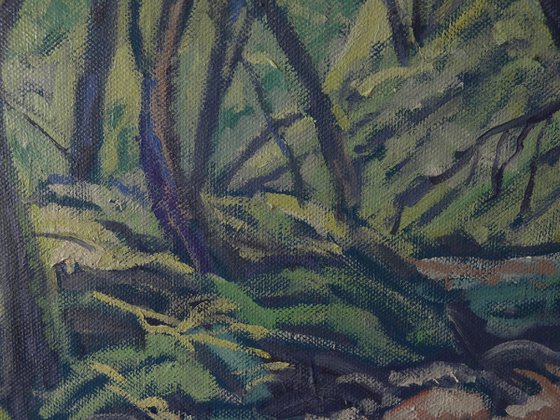 At the Moor Brook, Dartmoor