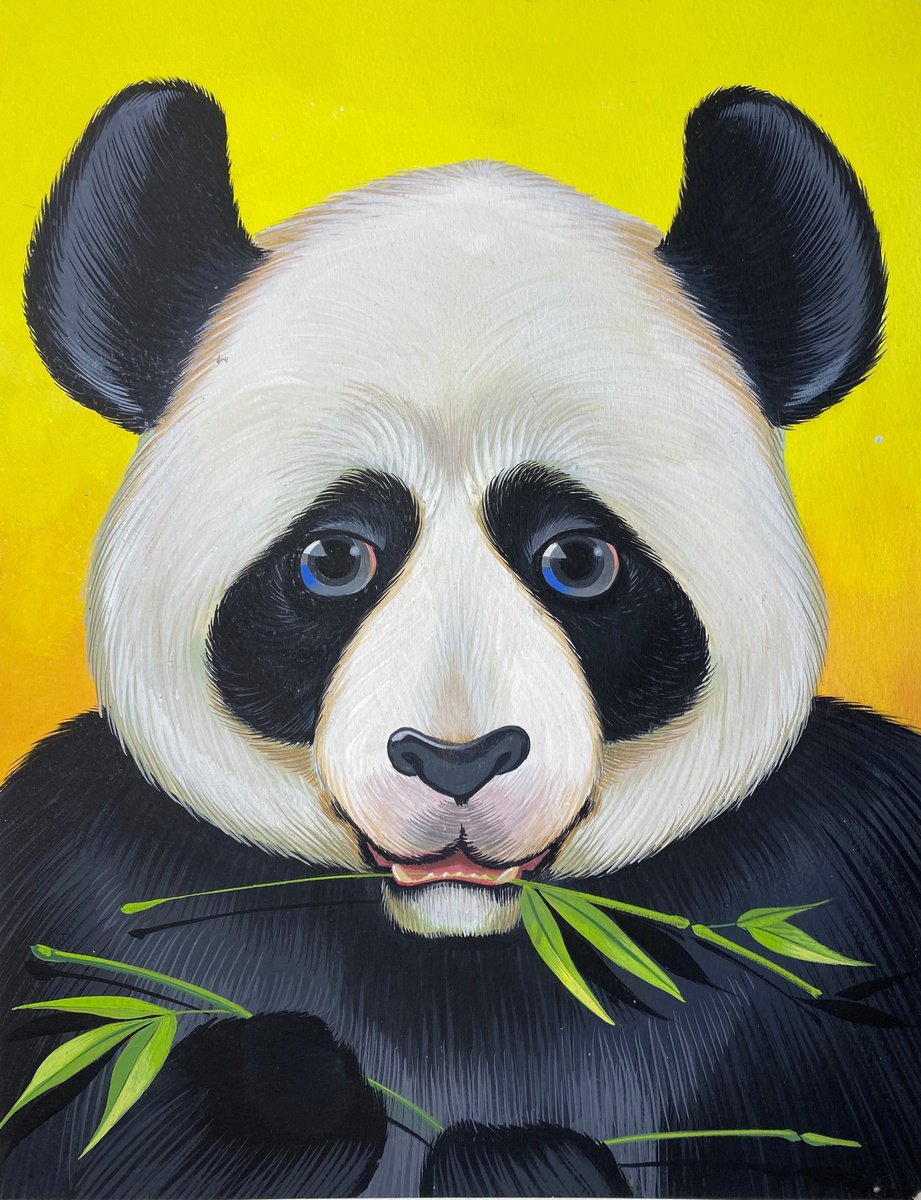 PANDA by Johnny Karwan