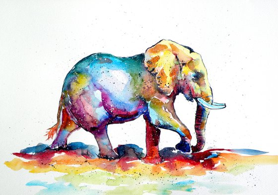 Colorful elephant V.