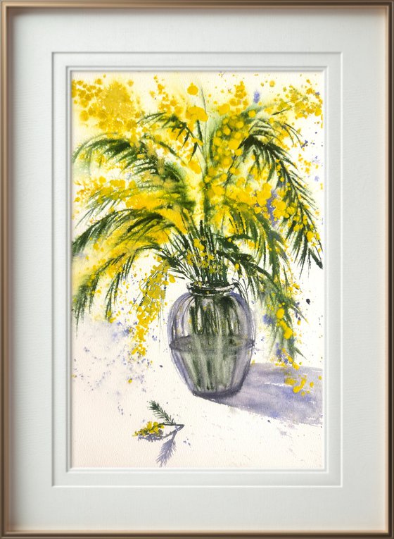 Mimosa branch Acacia Dealbata