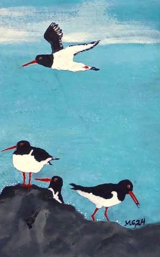 Oystercatcher Hang Out