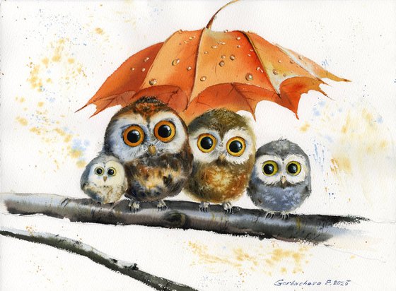 Owl Umbrella Haven