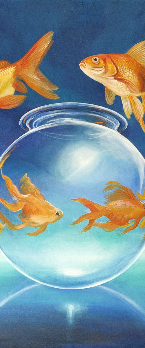 Goldfish III by Daniel Loveday