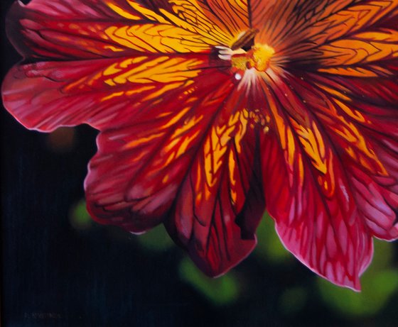 Salpiglossis