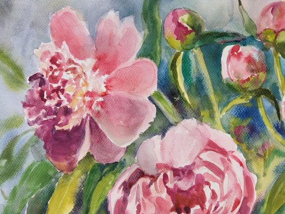 Peony flowers