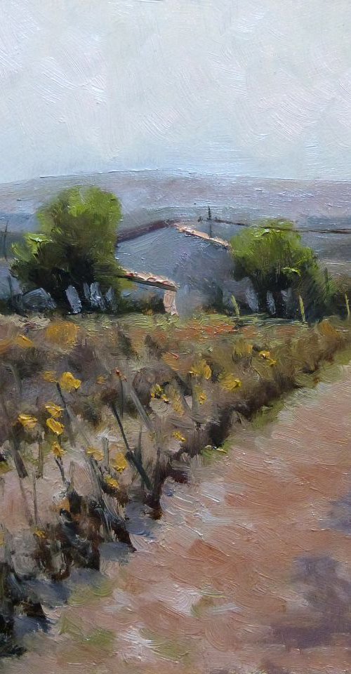 Autumn Vineyards by Pascal Giroud