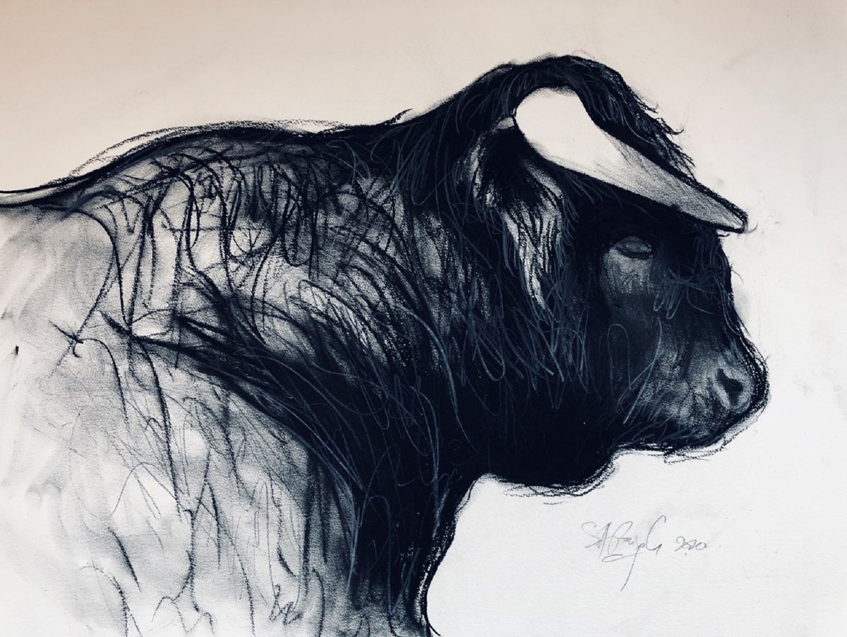 Expressive Animal Charcoal Drawing By Shabs Beigh, 33 X 23", Bull Head Study, Original Artwork