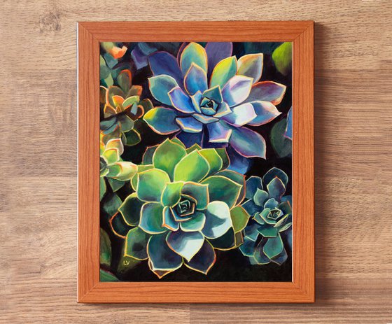 Blue succulent plants in sun