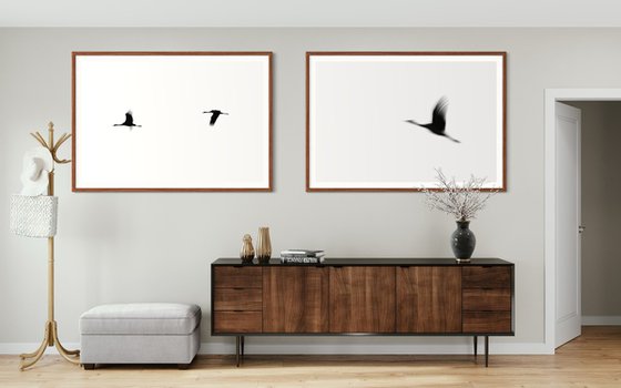 Crane(s) II