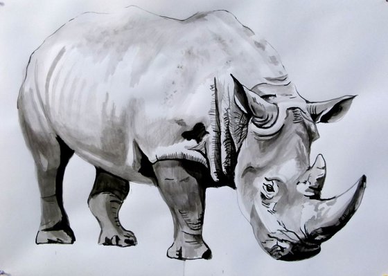 Rhinoceros