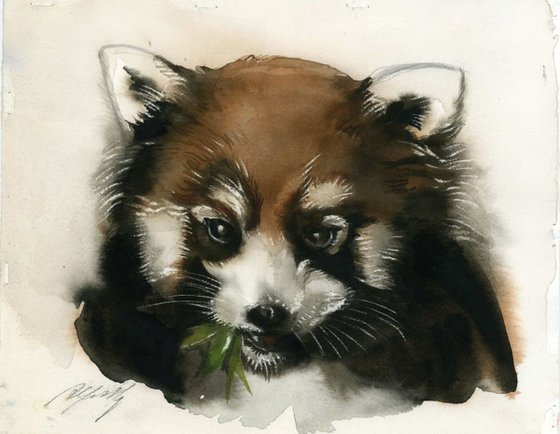 red panda watercolor